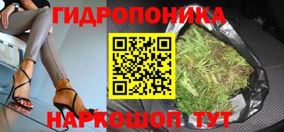 PSILOCYBIN Обнинск
