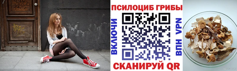 Псилоцибиновые грибы MAGIC MUSHROOMS  ОМГ ОМГ онион  Саров 
