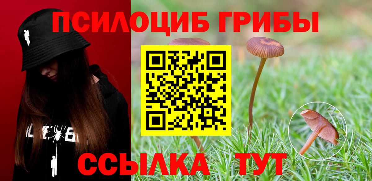 Саров  Псилоцибиновые грибы мухоморы  Вход с VPN 
