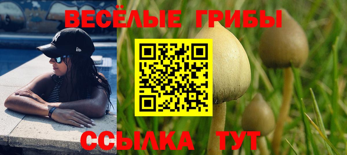 Псилоцибиновые грибы Magic Shrooms Саров